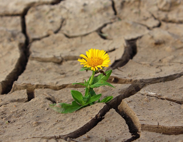 dry farmland prairie Canada drought planning municipal meeting